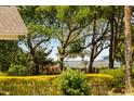 View of water from behind shrubs and trees. Cruise ship visible in the distance at 2 Pierates Cruz, Mount Pleasant, SC 29464