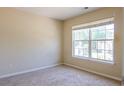 Comfortable bedroom features neutral carpeting and natural light from a large window at 206 Trickle Dr, Summerville, SC 29483