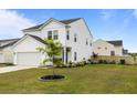 Beautifully landscaped front yard with green grass and vibrant flower beds surrounding a small tree at 401 Carrara Dr, Summerville, SC 29486