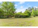 Expansive backyard with lush greenery, mature trees, and a glimpse of the brick home at 9995 Lodge Hwy, Lodge, SC 29082