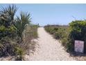 Sandy path through the dunes leading to the beach at 2501 Myrtle St, Edisto Beach, SC 29438