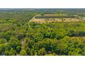 Scenic aerial shot of a wooded property outlined in yellow, showcasing its peaceful and secluded location at 2234 River Rd, Johns Island, SC 29455