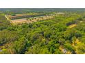 Overhead view of a potential building lot outlined in yellow, surrounded by lush, mature trees and landscape at 2234 River Rd, Johns Island, SC 29455