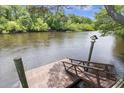 Scenic waterfront view with a charming wooden dock and a decorative birdhouse, surrounded by lush, green trees at 8487 Parkers Ferry Rd, Adams Run, SC 29426