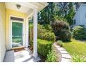 A welcoming entrance features a glass door, supported by white pillars, overlooking a well-maintained garden at 328 Fern House Walk, Mount Pleasant, SC 29464