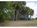 Charming home nestled amongst towering palm trees, sitting on pilings at 1106 Palmetto Blvd, Edisto Island, SC 29438