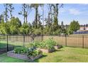 Fenced garden beds flourishing with greenery and surrounded by mature trees at 185 Whaler Ave, Summerville, SC 29486
