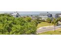 Coastal neighborhood with multiple beach homes, lush landscaping, and stunning ocean views at 3009 Palm Blvd, Isle of Palms, SC 29451