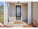 Welcoming front entrance with decorative door and clean walkway, showcasing the home's inviting facade at 153 Wild Holly Dr, Moncks Corner, SC 29461