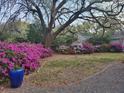 Spacious backyard featuring mature trees and colorful azaleas at 2169 Westrivers Rd, Charleston, SC 29412