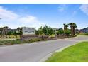 A welcoming community entrance sign surrounded by lush landscaping and palm trees at 291 Calm Water Way, Summerville, SC 29486