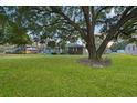 Spacious, grassy backyard featuring mature trees, offering ample outdoor space at 33 Elliott Ct, Walterboro, SC 29488
