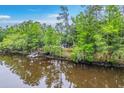 Scenic waterfront property featuring a covered dock and home surrounded by beautiful green trees and nature at 100 Canal Rd, Saint George, SC 29477
