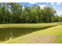 Scenic view of a pond surrounded by lush green grass and trees in the backyard, offering a tranquil and natural setting at 167 Cherry Grove Dr, Summerville, SC 29483
