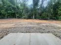 Muddy backyard with wooded perimeter provides privacy and potential landscaping opportunities at 4147 Rising Tide Dr, Summerville, SC 29485