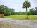 Expansive grassy yard featuring ample space, mature palm tree, and a gravel area at 9489 Sidneys Rd, Round O, SC 29474