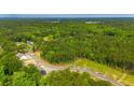 Picturesque aerial shot of a community surrounded by lush green trees and foliage at 1050 Crescent Cove Ln, Summerville, SC 29483
