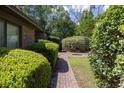 Landscaped side yard featuring lush greenery, brick path, and privacy, enhancing the property's charm at 1218 Chersonese Round, Mount Pleasant, SC 29464