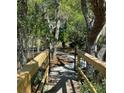 Pathway leading to the private dock surrounded by lush greenery and beautiful trees at 2020 Sea Water Dr, Charleston, SC 29412