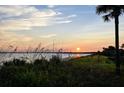 Scenic sunset over the calm water, with lush vegetation adding natural beauty to the landscape at 555 Double Eagle, Seabrook Island, SC 29455