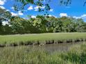 Scenic backyard view with a grassy marsh and trees on a beautiful sunny day at 1915 Quitman St, North Charleston, SC 29405