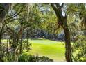 Scenic golf course view framed by lush trees and Spanish moss creating a tranquil backdrop at 153 High Hammock Villas, Seabrook Island, SC 29455