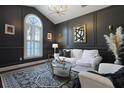 Stylish living room with dark walls, complemented by a white sofa and patterned rug at 2141 Sandy Point Ln, Mount Pleasant, SC 29466