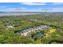 Aerial view showing neighborhood homes surrounded by lush greenery and a nearby pond at 3751 Copahee Sound Dr, Mount Pleasant, SC 29466