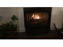 Indoor fireplace with lit fire and greenery nearby at 1928 Chatelain Way, Mount Pleasant, SC 29464