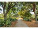 Picturesque community walking path surrounded by lush greenery and mature trees at 2431 Settlers St, Charleston, SC 29492