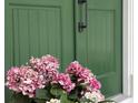 Pink Hydrangeas at front door with black hardware accenting a green entrance at 2431 Settlers St, Charleston, SC 29492