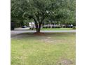 View of a well-maintained home and yard with a large shade tree at 214 Winter St, Moncks Corner, SC 29461