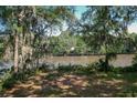 Scenic view of the backyard with mature trees, Spanish moss, and river view, offering a tranquil retreat at 2180 Wappoo Hall Rd, Charleston, SC 29412