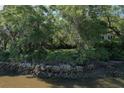 Picturesque view of a home nestled among trees with waterfront access and natural rock seawall at 2180 Wappoo Hall Rd, Charleston, SC 29412