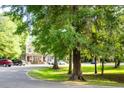 Picturesque neighborhood street view with mature trees and well-maintained landscaping at 107 Twin Tree Dr, Summerville, SC 29485