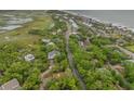Aerial view of coastal neighborhood with marsh, ocean, and lush greenery at 209 Jungle Rd, Edisto Beach, SC 29438