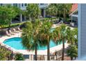 Community pool view with palm trees and plenty of lounge chairs at 1984 Folly Rd # A310, Charleston, SC 29412