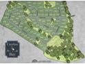 Explore Carolina Bay with this detailed map showcasing lot locations and neighborhood layout at 1088 Deep Gap Rd, Ridgeville, SC 29472