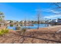 Picturesque pond surrounded by trees and landscaping, creating a peaceful community setting at 308 Oak Park St, Summerville, SC 29486