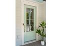 Stylish light blue front door with glass panes, white trim, modern hardware, and a charming potted plant accent at 2242 Dewees Creek Dr, Mount Pleasant, SC 29466