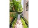 A narrow walkway between the house and fence, surrounded by greenery at 50 South St, Charleston, SC 29403
