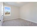 Bright, carpeted bedroom with natural light streaming through a window with backyard view at 350 Chapman Cir, Goose Creek, SC 29445