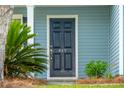 Close-up of the front door with dark wood finish, house number, and landscaped entryway at 489 Dolphin Dr, Summerville, SC 29485