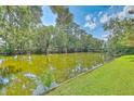Picturesque pond surrounded by mature trees and lush greenery in a quiet community at 17 Johnson Rd, Charleston, SC 29407