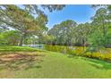 Scenic waterfront view of a tranquil pond lined with trees and a grassy shoreline at 17 Johnson Rd, Charleston, SC 29407