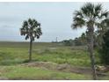 Scenic marsh landscape with palm trees and distant view of a lighthouse under a cloudy sky at 1736 E Ashley Ave, Folly Beach, SC 29439