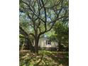 A charming single-story home is framed by large trees and lush greenery enhancing its natural beauty at 2041 Covey Ln, Charleston, SC 29412