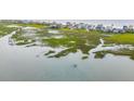 Scenic aerial view of waterfront community with docks and lush green marshlands at 1568 E Ashley Ave, Folly Beach, SC 29439