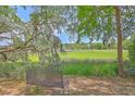 Inviting backyard with a wrought iron bench overlooking lush green marsh at 2340 Ashley River Rd, Charleston, SC 29414