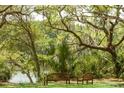 Idyllic backyard featuring a bench, chair, lush greenery, and serene water views for relaxing outdoors at 3627 Holmes Dr, Johns Island, SC 29455